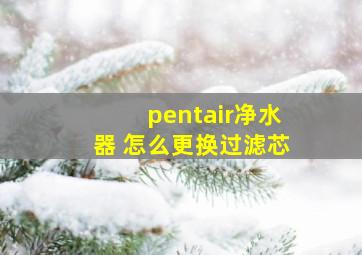 pentair净水器 怎么更换过滤芯